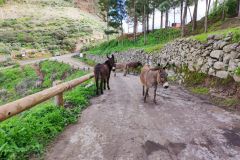 Segunda_Travesia_Gran_Canaria_17-al-21-febrero-2023_09