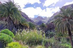 Segunda_Travesia_Gran_Canaria_17-al-21-febrero-2023_02