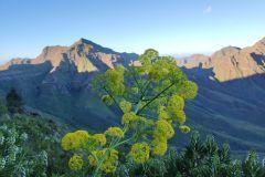 Segunda_Travesia_Gran_Canaria_17-al-21-febrero-2023_28