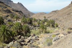 Travesía Gran Canaria 8 al 12 Octubre 2021