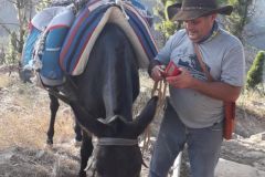 Travesía Gran Canaria 8 al 12 Octubre 2021