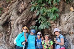 Travesía Gran Canaria 8 al 12 Octubre 2021